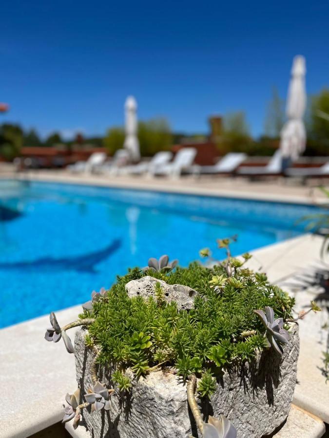 Apartment With Swimming Pool Елса Экстерьер фото
